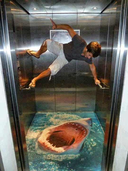 shark-inside-elevator-optical-illusion.jpg